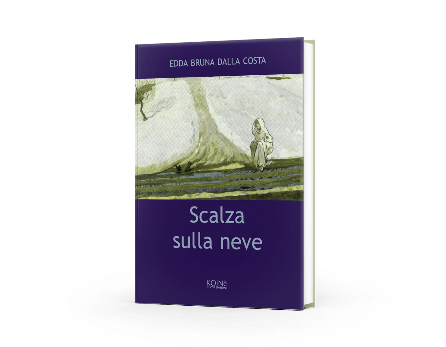 Scalza sulla neve
